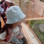 phoca_thumb_m_zajci mokady a  tic 78 Fotogalerie